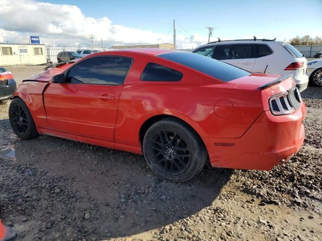 2014 Ford Mustang