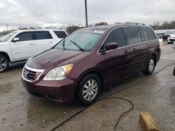 Honda Odyssey exl salvage cars for sale: 2010 Honda Odyssey EXL