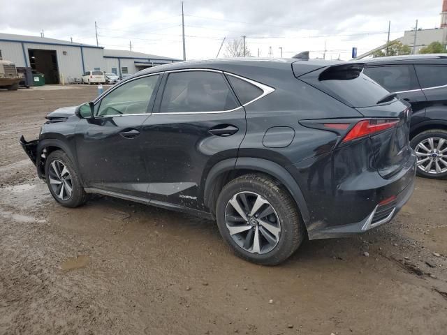 2019 Lexus NX 300H