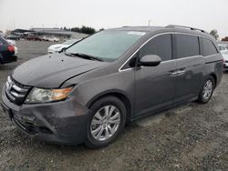 Honda Odyssey exl Vehiculos salvage en venta: 2014 Honda Odyssey EXL