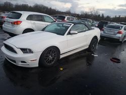 Ford salvage cars for sale: 2013 Ford Mustang