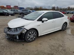 Toyota Corolla salvage cars for sale: 2020 Toyota Corolla LE