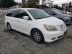 2008 Honda Odyssey EX