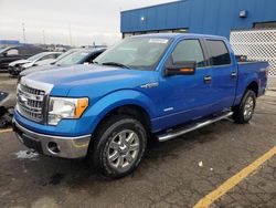 Ford f-150 salvage cars for sale: 2013 Ford F150 Supercrew