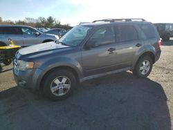 Ford salvage cars for sale: 2010 Ford Escape XLT