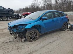 Ford Focus salvage cars for sale: 2014 Ford Focus SE