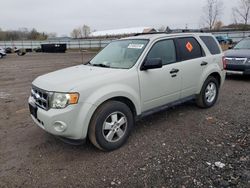 Ford Escape salvage cars for sale: 2009 Ford Escape XLT