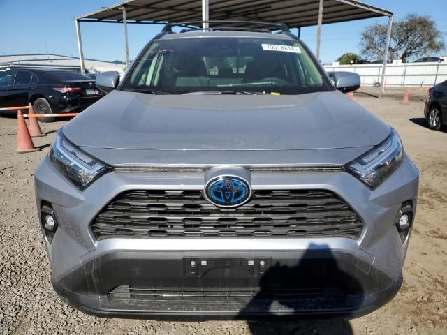 2024 Toyota Rav4 XLE Premium