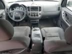 2004 Ford Escape XLT