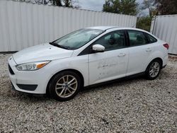 Ford Focus salvage cars for sale: 2016 Ford Focus SE