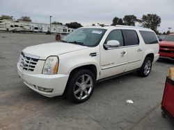 Cadillac Escalade salvage cars for sale: 2008 Cadillac Escalade ESV