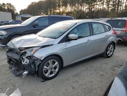 Ford Focus salvage cars for sale: 2013 Ford Focus SE