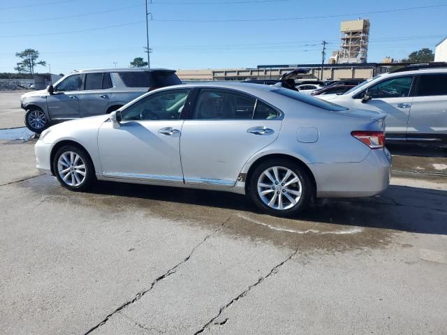 2010 Lexus ES 350