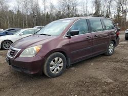 Honda salvage cars for sale: 2008 Honda Odyssey LX