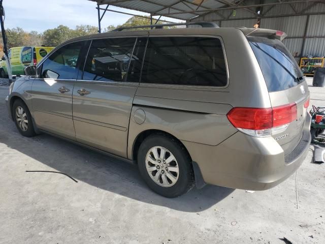 2009 Honda Odyssey EXL