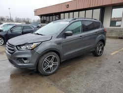 Salvage cars for sale from Copart Fort Wayne, IN: 2019 Ford Escape SEL