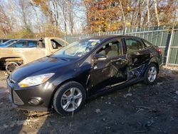 Ford Focus salvage cars for sale: 2014 Ford Focus SE