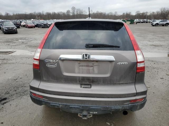 2010 Honda CR-V EXL