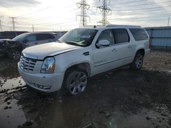 Cadillac Escalade salvage cars for sale: 2008 Cadillac Escalade ESV