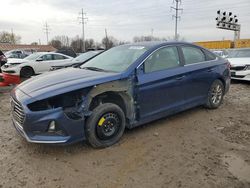 Hyundai Sonata salvage cars for sale: 2019 Hyundai Sonata SE