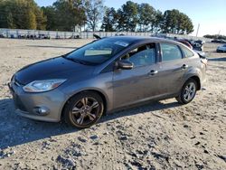 Ford Focus salvage cars for sale: 2013 Ford Focus SE