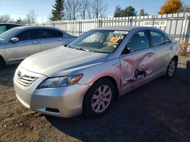 2008 Toyota Camry Hybrid