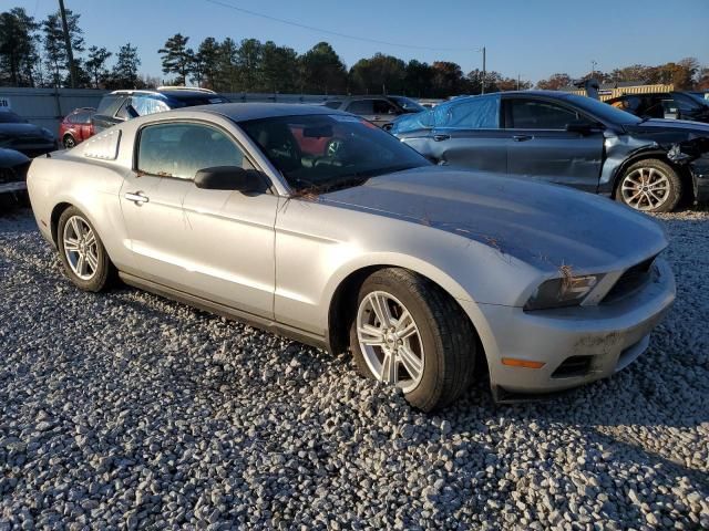 2010 Ford Mustang