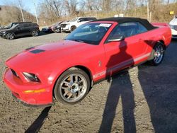 2008 Ford Mustang Shelby GT500 en venta en Marlboro, NY