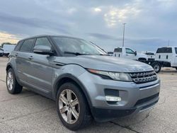 Land Rover salvage cars for sale: 2013 Land Rover Range Rover Evoque Pure Premium