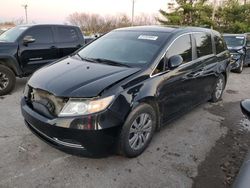 Honda Odyssey exl salvage cars for sale: 2015 Honda Odyssey EXL