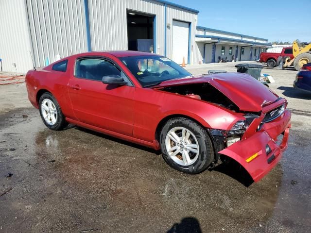 2013 Ford Mustang