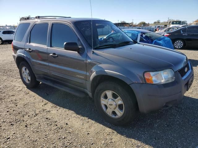 2002 Ford Escape XLT