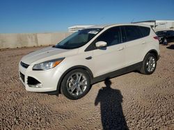 Salvage cars for sale from Copart Phoenix, AZ: 2013 Ford Escape SEL