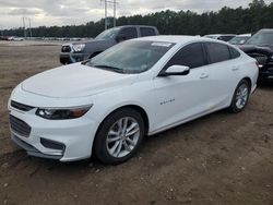 Chevrolet Malibu salvage cars for sale: 2016 Chevrolet Malibu LT