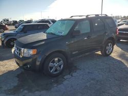 Ford Escape salvage cars for sale: 2008 Ford Escape XLT