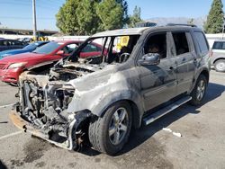 Honda Pilot Vehiculos salvage en venta: 2010 Honda Pilot EX