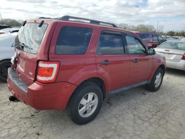 2010 Ford Escape XLT