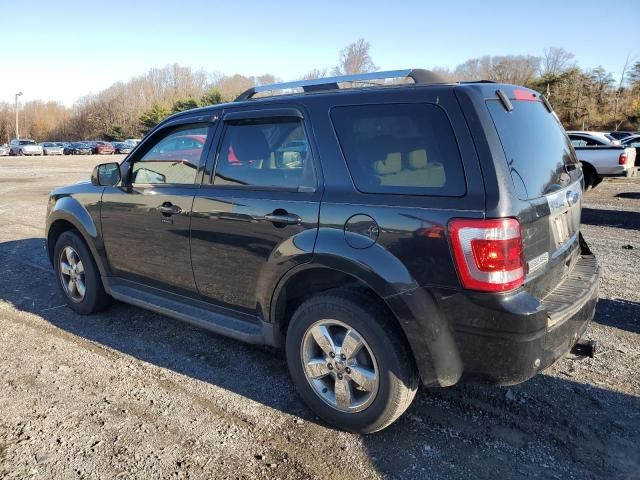 2011 Ford Escape Limited