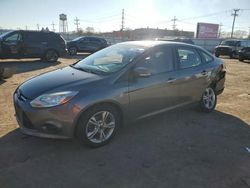 Ford Focus salvage cars for sale: 2013 Ford Focus SE