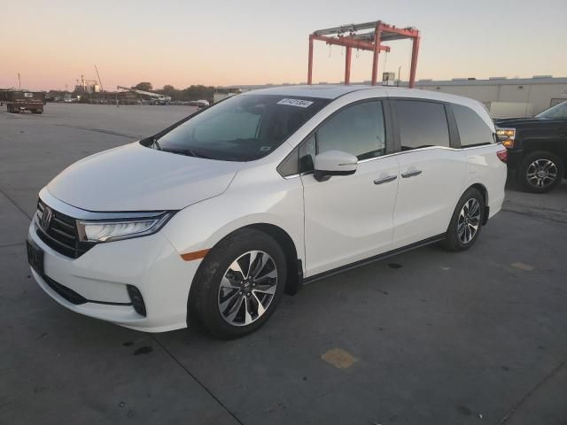 2024 Honda Odyssey EXL