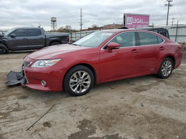 2014 Lexus ES 300H