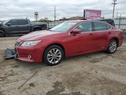 Lexus es300 salvage cars for sale: 2014 Lexus ES 300H