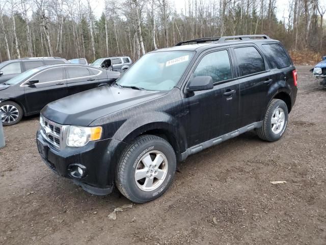 2010 Ford Escape XLT