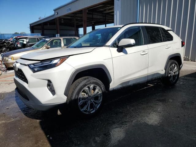 2022 Toyota Rav4 XLE Premium