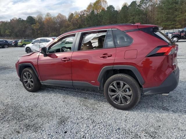 2024 Toyota Rav4 XLE Premium