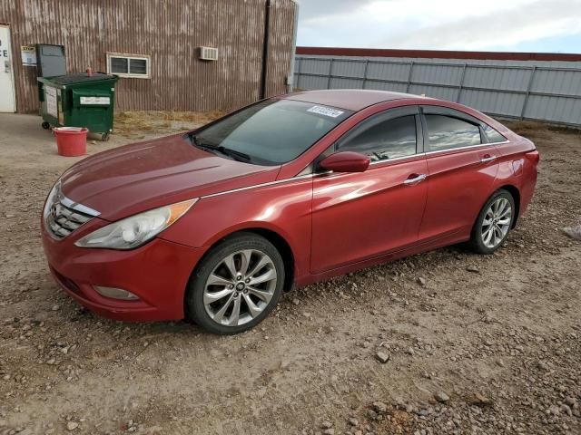 2013 Hyundai Sonata SE