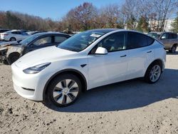 Tesla salvage cars for sale: 2021 Tesla Model Y