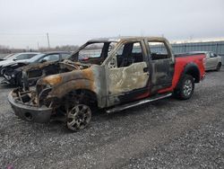 Salvage cars for sale from Copart Ottawa, ON: 2012 Ford F150 Supercrew