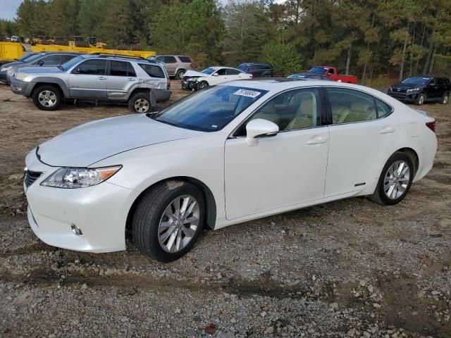 2013 Lexus ES 300H