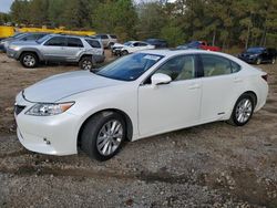 Salvage cars for sale from Copart Gaston, SC: 2013 Lexus ES 300H